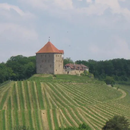 公寓 Gaesteapartments Haus Kohler 阿巴斯塔特